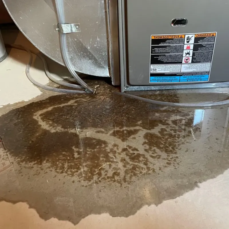 Pipe Burst and Leak Restoration in Spencer, MA