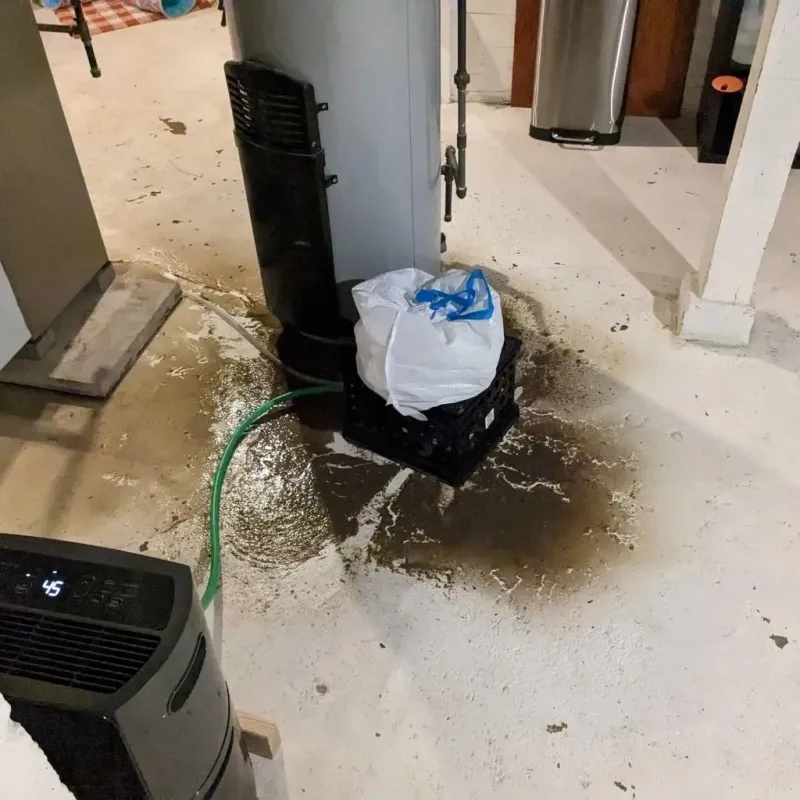 Sewage Backup Cleanup Service in Spencer, MA